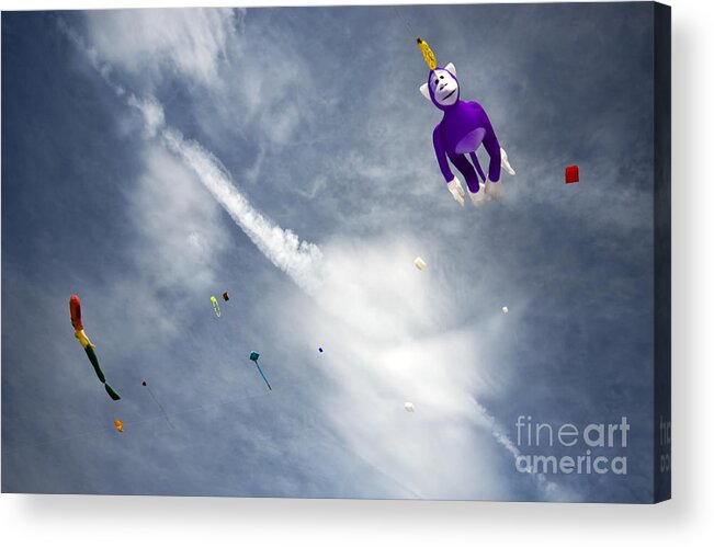 Kite Acrylic Print featuring the photograph Kites On The Sky #2 by Ang El