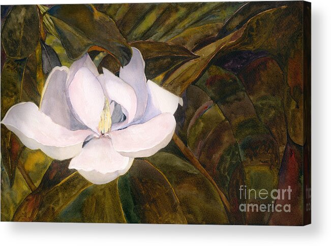 Floral Acrylic Print featuring the painting Magnolia Blossom #2 by Sandy Linden