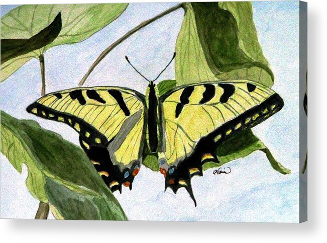 Swallowtail Acrylic Print featuring the painting Male Eastern Tiger Swallowtail by Angela Davies