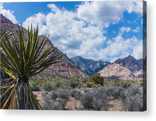 Las Vegas Acrylic Print featuring the photograph Red Rock Canyon #2 by George Strohl