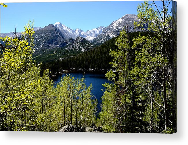 Tranquil Acrylic Print featuring the photograph Spring at Bear Lake #2 by Tranquil Light Photography