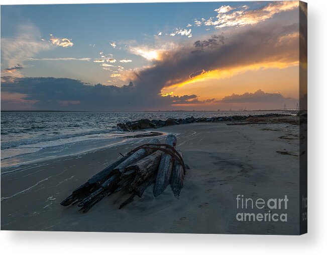 Washed Ahore Acrylic Print featuring the photograph Washed Ashore by Dale Powell