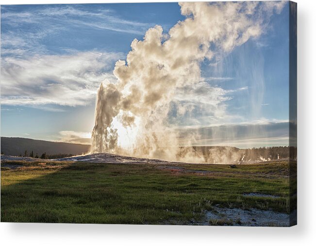 Grass Acrylic Print featuring the photograph Yellowstone National Park #2 by Patrick Leitz