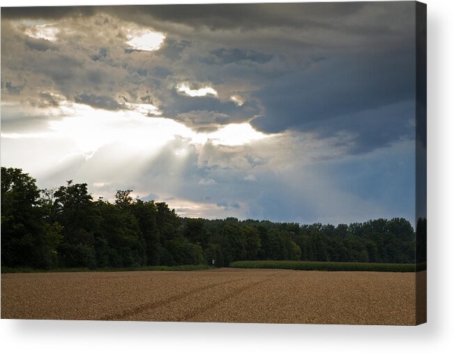 Wheat Acrylic Print featuring the photograph Breaking storm #3 by Ian Middleton