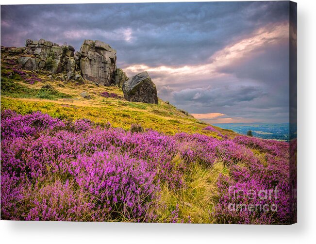 Airedale Acrylic Print featuring the photograph Cow and Calf Rocks #3 by Mariusz Talarek