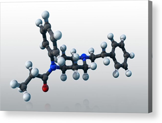 Model Acrylic Print featuring the photograph Fentanyl, Molecular Model #3 by Evan Oto