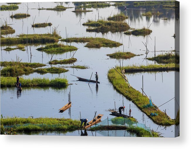 People Acrylic Print featuring the photograph Fishing, Loktak Lake, Near Imphal #3 by Peter Adams