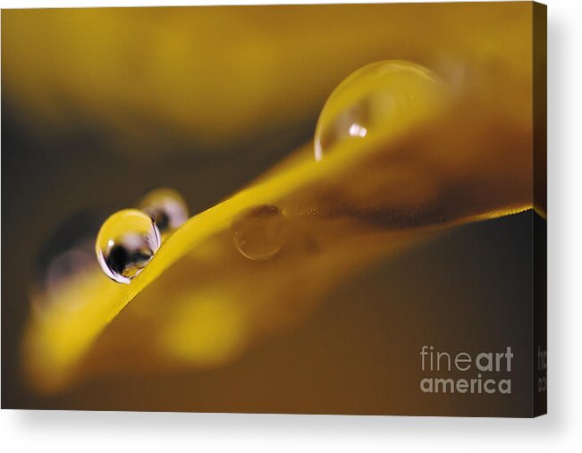Macro Acrylic Print featuring the photograph Flower #3 by Christine Sponchia
