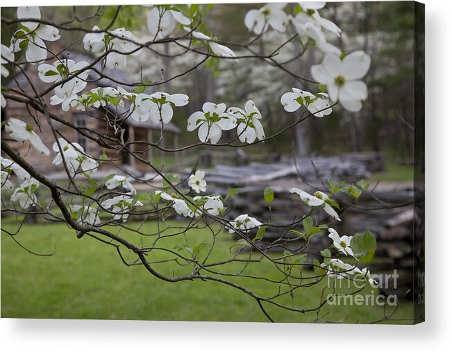 Great Smoky Mountains Acrylic Print featuring the photograph Great Smoky Mountains National Park #3 by Jim West