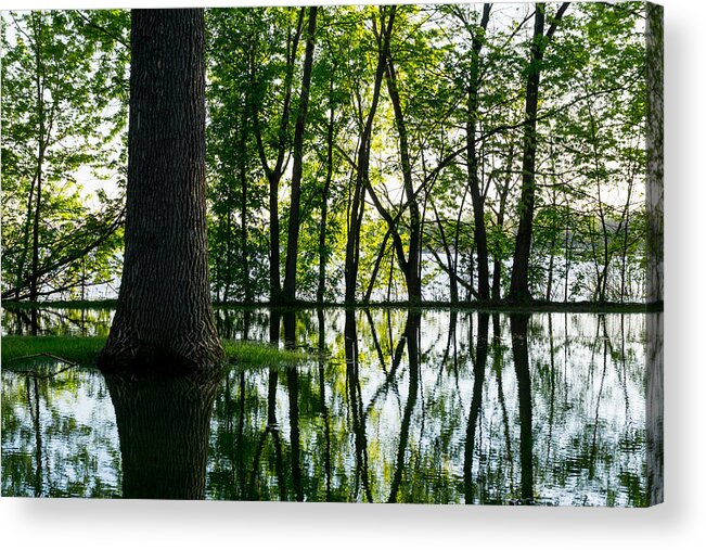 Minneapolis Acrylic Print featuring the photograph Lake Nokomis in a Wet Spring by Jim Hughes