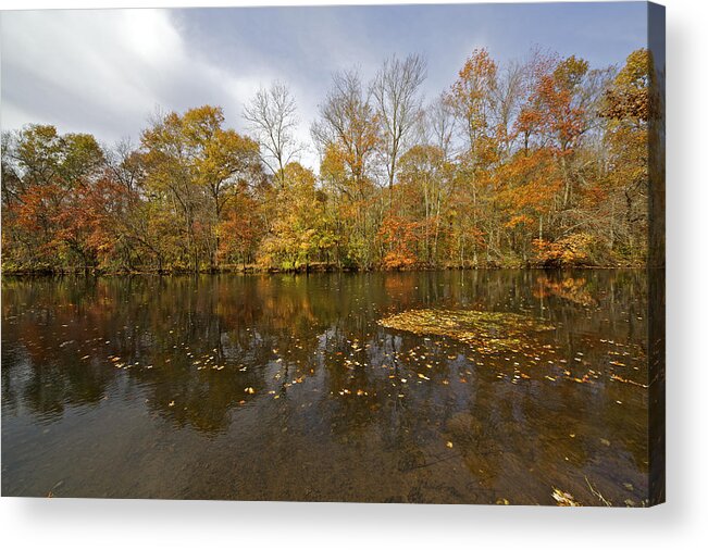 Autumn Acrylic Print featuring the photograph Reflection of Autumn Colors on the Canal by David Letts