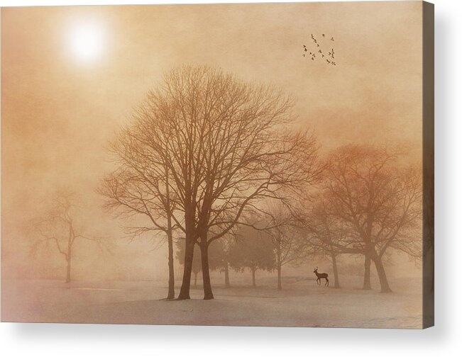 Serene Acrylic Print featuring the photograph Serenity #3 by Cathy Kovarik