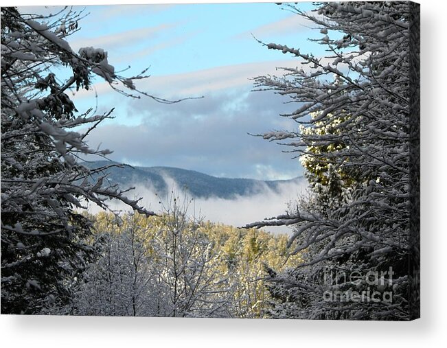 Mountains Acrylic Print featuring the photograph Through The Trees #3 by Deena Withycombe