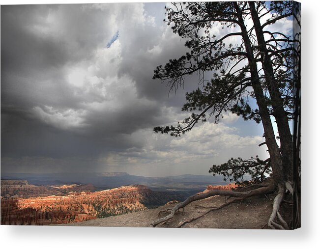 Utah Acrylic Print featuring the photograph Bryce Canyon Utah #4 by Joseph G Holland