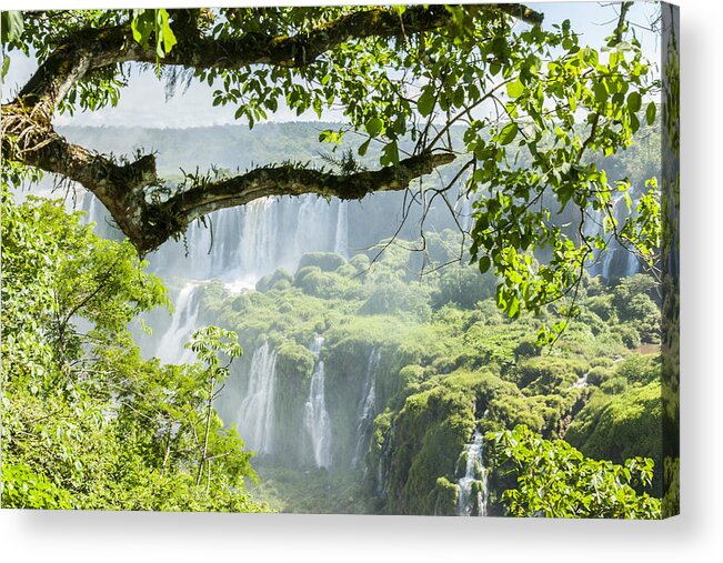 Scenics Acrylic Print featuring the photograph Iguazu Waterfall #4 by Maremagnum