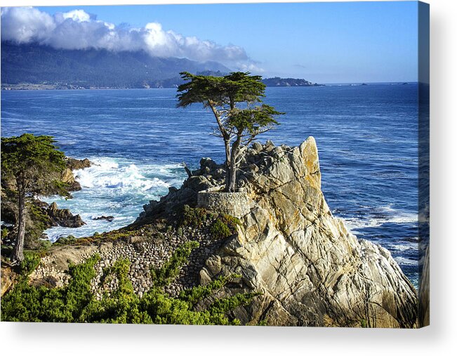 Lone Cypress Acrylic Print featuring the photograph Lone Cypress #4 by Leon Chang
