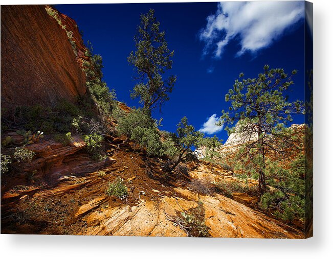 Landscape Acrylic Print featuring the photograph Zion National Park Utah USA #11 by Richard Wiggins