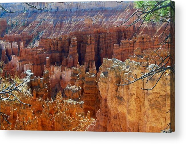 Landscapes Acrylic Print featuring the photograph Bryce Canyon #5 by Douglas Miller