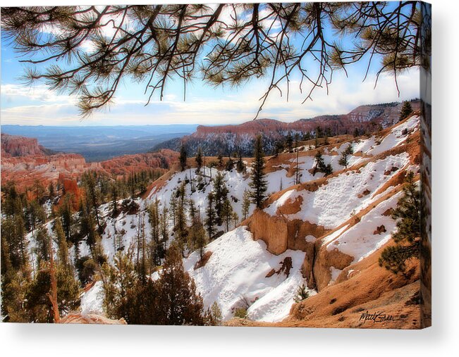 Bryce Canyon Acrylic Print featuring the photograph Bryce Canyon #1 by Marti Green