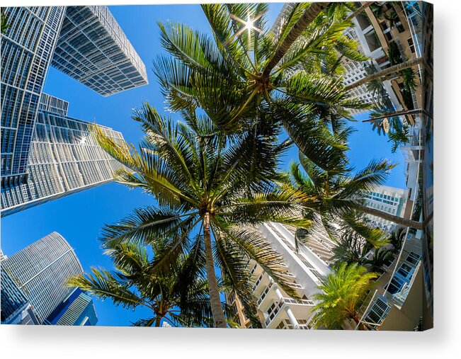 Architecture Acrylic Print featuring the photograph Downtown Miami Brickell Fisheye by Raul Rodriguez