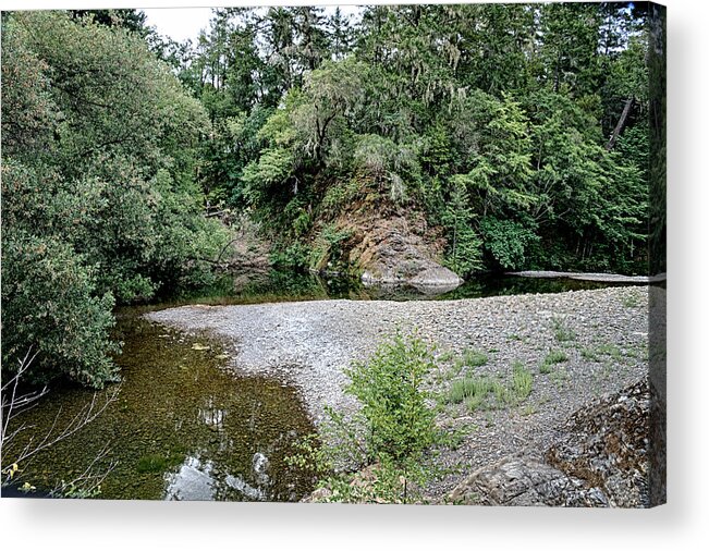 Navarro River Acrylic Print featuring the photograph Down by the River by Betty Depee