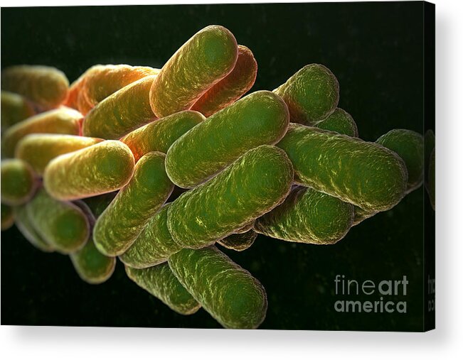 3d Visualization Acrylic Print featuring the photograph Legionella Pneumophila Bacteria #6 by Science Picture Co