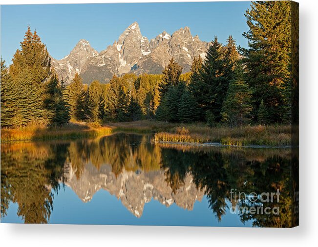 Autumn Acrylic Print featuring the photograph The Grand Tetons Schwabacher Landing Grand Teton National Park #1 by Fred Stearns