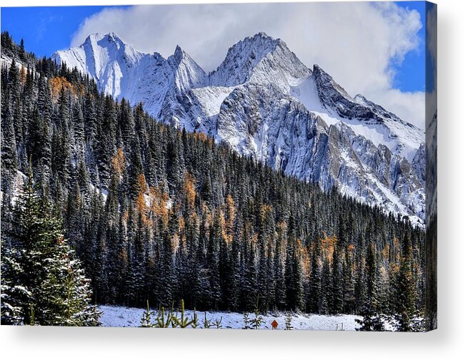 Banff Alberta Canada Acrylic Print featuring the photograph Banff Alberta Canada #64 by Paul James Bannerman