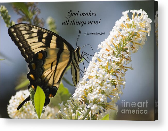 Scripture Acrylic Print featuring the photograph Butterfly Scripture #10 by Jill Lang