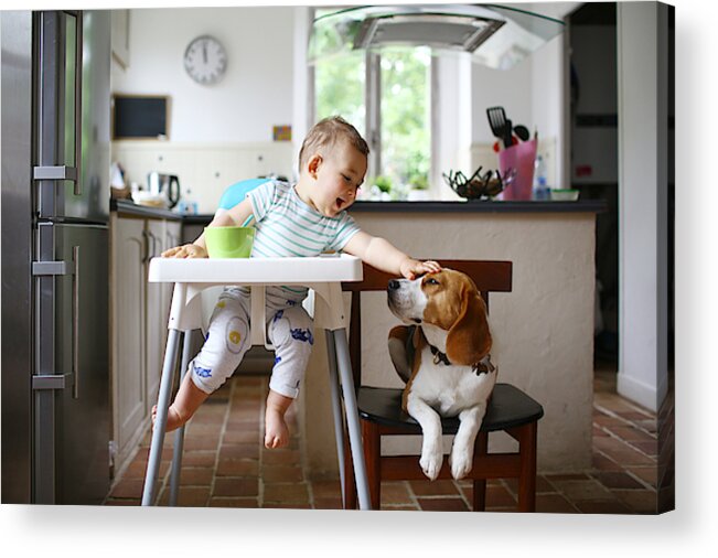 Pets Acrylic Print featuring the photograph A 1 year old boy petting his dog in the kitchen by Catherine Delahaye
