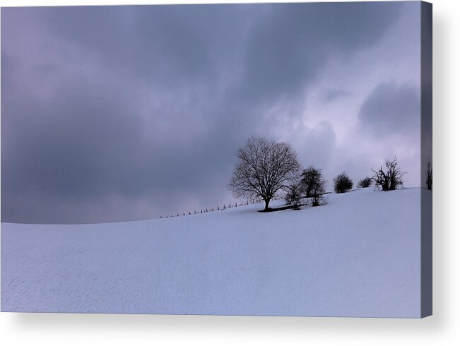 Snow Acrylic Print featuring the photograph A Cold Winter Day by Irene Becker Photography