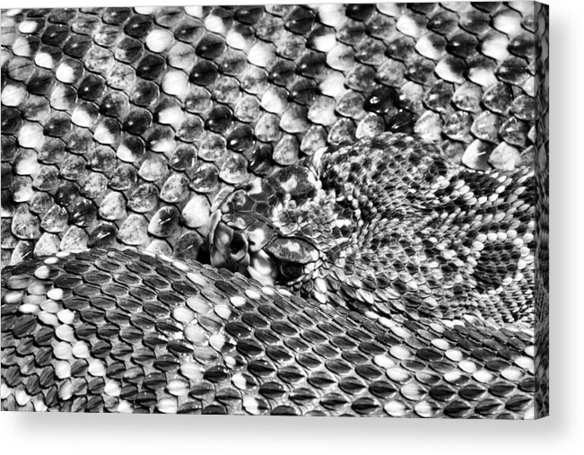 A Dangerous Abstract Acrylic Print featuring the photograph A Dangerous Abstract by JC Findley