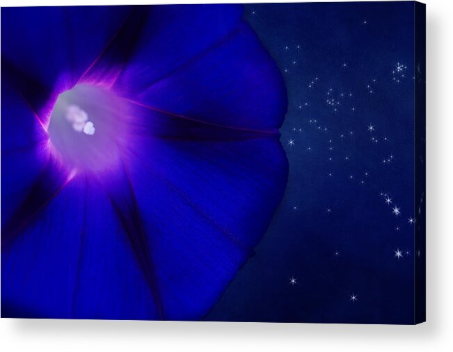 Morning Glory Flower Acrylic Print featuring the photograph A Flower In The Cosmic Garden by Marina Kojukhova