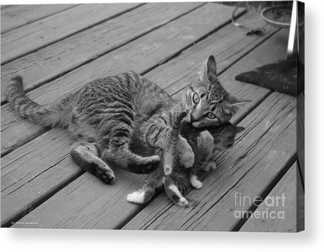  Acrylic Print featuring the photograph A Mother's Love by Tannis Baldwin