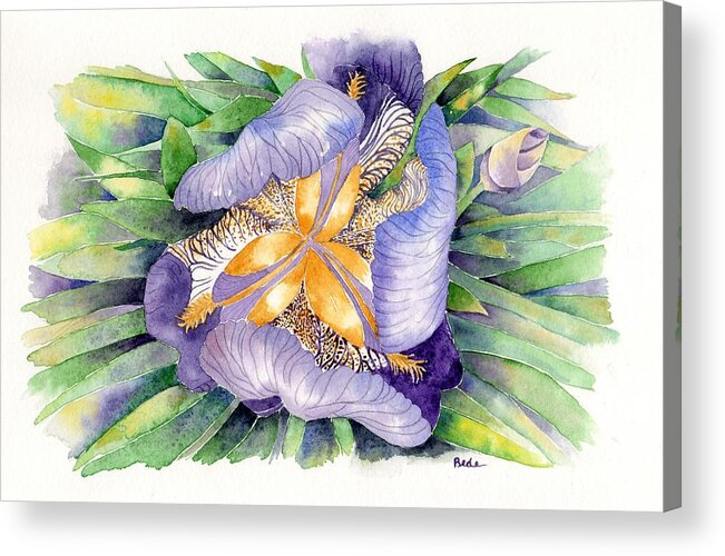 Iris Acrylic Print featuring the painting A New Perspective by Catherine Bede