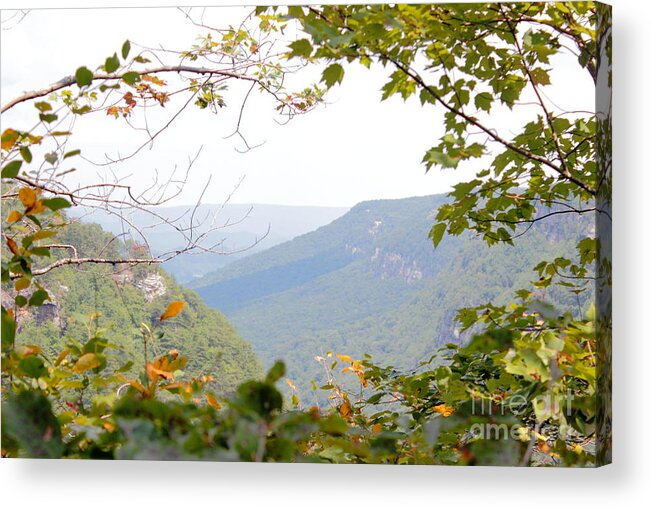 Cloudland Acrylic Print featuring the photograph A Peek into Cloudland Canyon by Andre Turner