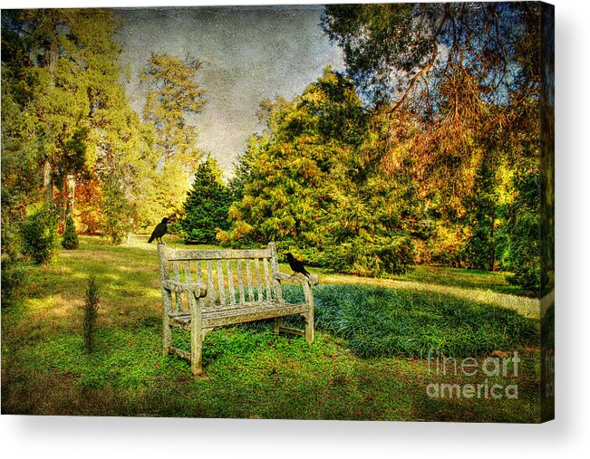 Crow Acrylic Print featuring the photograph A Resting Place by Darren Fisher