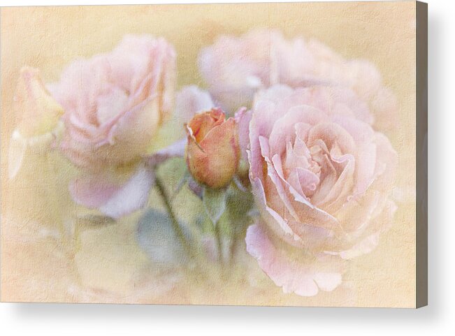 Blossoms Acrylic Print featuring the photograph A Rose By Any Other Name by Theresa Tahara