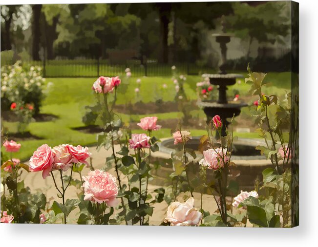 Roses Acrylic Print featuring the photograph A Rose Garden by Marilyn Cornwell