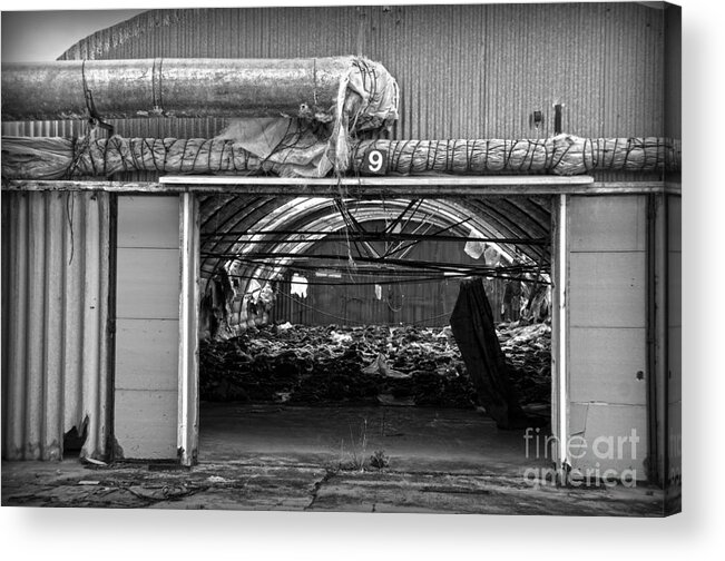 Shed Acrylic Print featuring the photograph A shed in an abandoned mushroom farm BW by RicardMN Photography