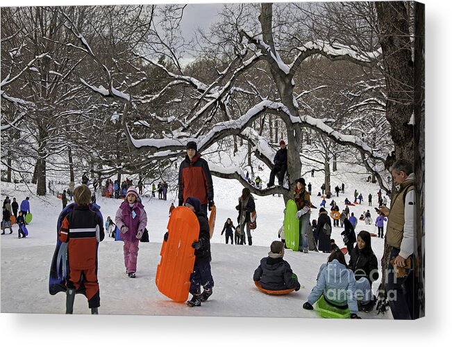 Snow Acrylic Print featuring the photograph A Snow Day in the Park by Madeline Ellis