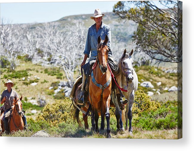 Bogong High Plains Acrylic Print featuring the photograph A Snowys' Horseman by Mark Lucey