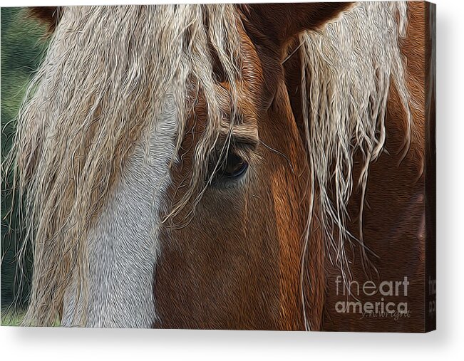 Horse Acrylic Print featuring the photograph A Trusted Friend by Yvonne Wright