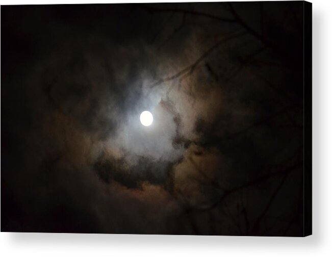 A Winter's Moon 2015 Acrylic Print featuring the photograph A Winter's Moon 2015 by Maria Urso
