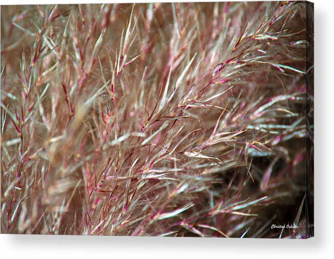 Abstract 3 Acrylic Print featuring the photograph Abstract 3 by Christina Ochsner