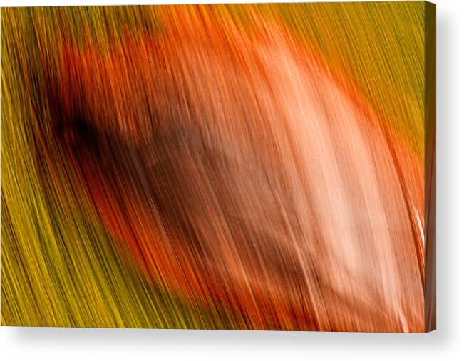 Abstract Acrylic Print featuring the photograph Abstract #5 by Steve DaPonte