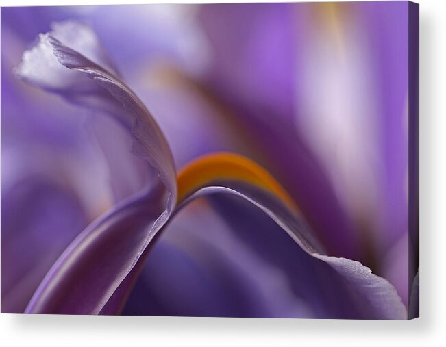 Abstract Acrylic Print featuring the photograph Abstract Flowers by Juergen Roth