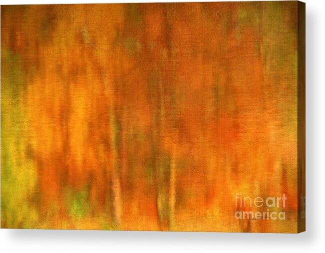 Painterly Acrylic Print featuring the photograph Abstract of Autumn by Darren Fisher