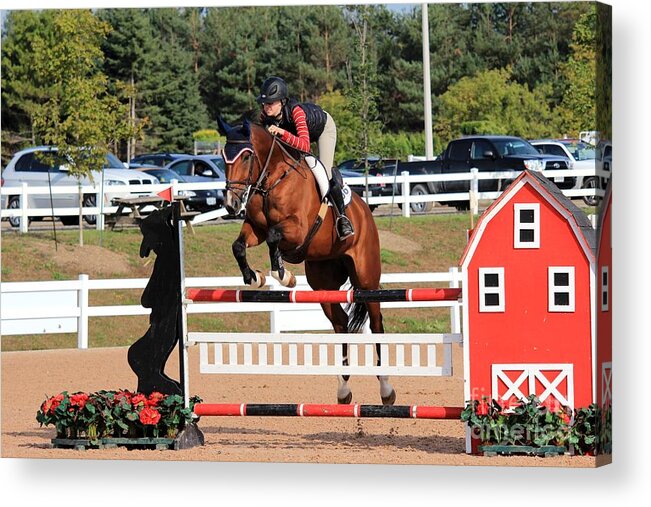 Horse Acrylic Print featuring the photograph Ac-jumper148 by Janice Byer