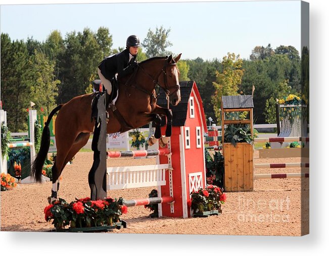 Horse Acrylic Print featuring the photograph Ac-medal18 by Janice Byer